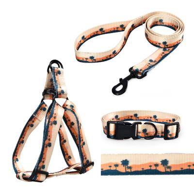 China Durable Recycled Material Environmental Pet Reduce Lead Harness Collar Reuse Fashion Dog Walking Leash for sale