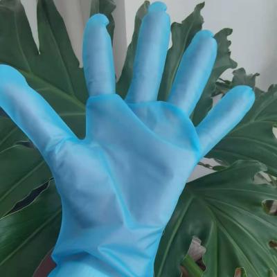 China Clear Tape Disposable Gloves Disposable Blue for sale