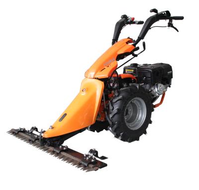 China Factory Agricultural Machinery Two Wheel Tractor With Cultivator for sale