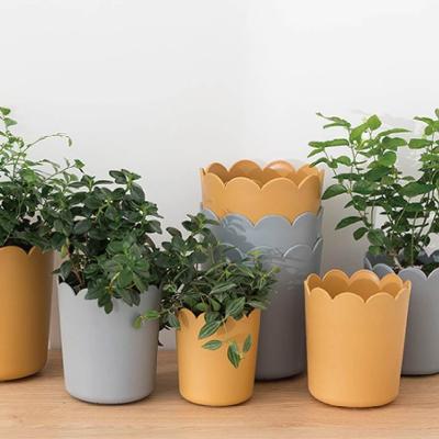 China Modern SimplicityBreathable and resistant to deformation pot high quality plastic modern simple desktop flower pot petal potted lazy shapes in a variety of colors and features for sale