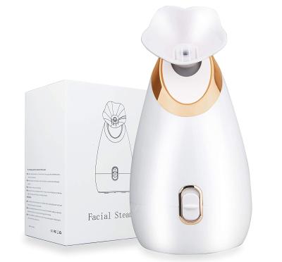 Cina Skin Care Deep Cleansing Hot Ionic Portable Facial Steamer Professional Moisturizing in vendita