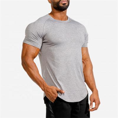 China 2020 Men's Custom Gym Fitness Gym Sale 100% Simple Sport Graphic T-Shirt White Workout QUICK DRY Hot Loose Designer Men's Anti-Pilling for sale