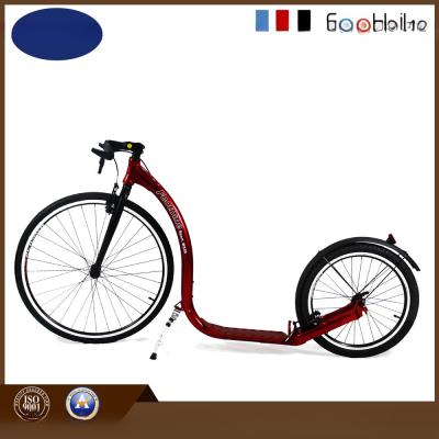 China New Style Footbiking Kick Bike Scooter-Sport W330 for sale