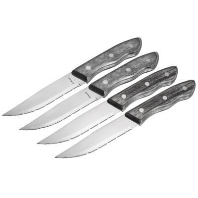 China Viable Professional Steak Knife Set With Pakkawood Handle Dinner Tools for sale