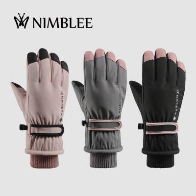 China 2022 fashion ski snowboard waterproof protective motorbike mountain touchntuff winter gloves cotton & mittens bike ski gloves for sale