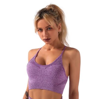 China New Fashion Fitness Breathable Stylish Adjustable Buckle Tops Large Size Sports Bra For Women for sale