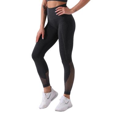 China Fashionable Breathable Mesh Slim Pants Solid Color Fitness Gym Yoga Activewear High Waist For Women for sale