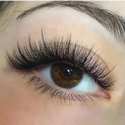 China Good Quality Mink Lashes Individual Extension Eyelash D Loop Easy Fanning Eyelash Extensions Lashes Eyelash Extension Seller for sale