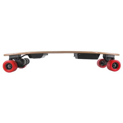 China Motor longboard double belt skateboard longboard adult hot sale electric skateboard for sale for sale