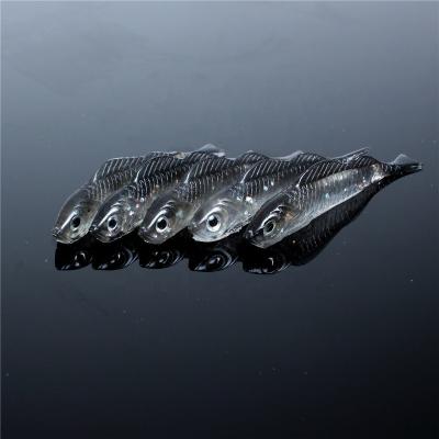 China Wholesale 3D Soft Lure Artificial Fishing Soft Bait Eyes Shad Swimbait Gray 5PCS/Pack DR0002 for sale