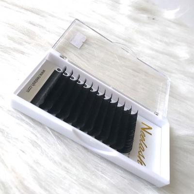 China Natural handmade long type flat lashes extension different lashes wholesale own different brand eyelash extension silk eyelash extensions for sale