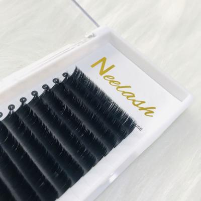 China Natural Private Label Camellia Lash Extensions 0.05 0.07mm Camellia Mega Volume Blooming Lashes for sale