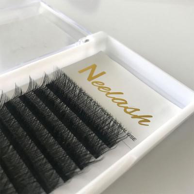 China Softly 2020 high quality lashes of korean wholesale different eyelash extensions y new products y for sale