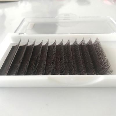 China Soft Hot Selling 0.07 C D Loop Y Eyelash Extension Supplier Private Label Lick Flat Extensions yy whips for sale