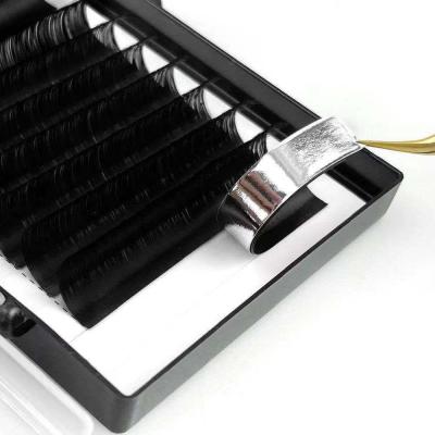 China Soft Individual Classic yy W Elliptical Eyelash Lashes Extension Private Label for sale