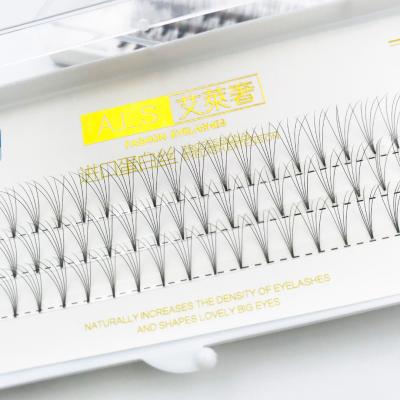 China Glue free wholesale full strip lashes different private label lashextension hair eyebrow extensions for sale