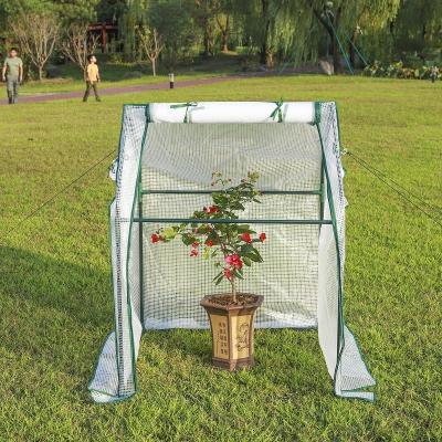 China Easily Assembled Outdoori Walk In Herb And Flower Tower Shape Mini Portable Greenhouse for sale