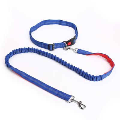 China Viable Hands Free Thoughtful Bungee Dog Leash with Adjustable Restraint Belt for sale