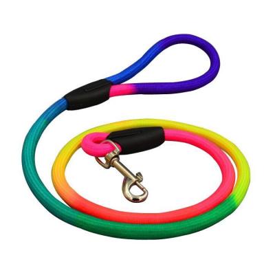 China Durable High Quality Nylon Rope Dog Training Leash for sale