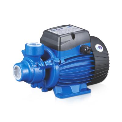 China Irrigation And Agriculture 0.5 Surface Irrigation 0.75hp Pumps For Clean Water for sale