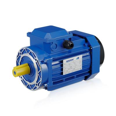 China factory china electric water pump motor price MF en venta