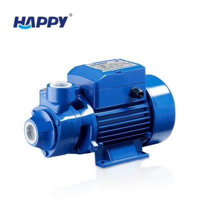 China Other Best Price AC 220v Mini Booster Water Pump Domestic Quarterback 80 Te koop