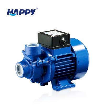 China Other Peripheral Motor 0.15hp 220v Single Phase Best Electric Water Pump Te koop