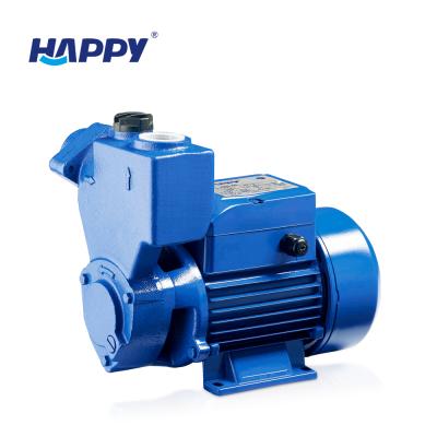 China Other Cast Iron 300 Watt 0.37kw Self Priming Peripheral Water Pump Condenser for sale