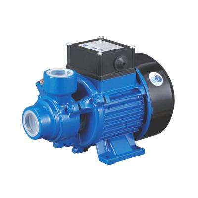 Κίνα AC 220v High Pressure Irrigation And Agriculture Mini Electric Water Pump 0.15hp Specifications προς πώληση