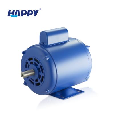 China Totally Enclosed 0.18kw 2.2 Kw 220 Volt Water Pump Machine Single Phase AC Induction Motor for sale