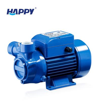 China Other 0.5 Hp 1hp Low Volume Peripheral High Pressure Water Pumps for sale