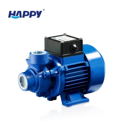 China Other 0.11kw 1 Inch Working Principle General Electric Water Pump for sale