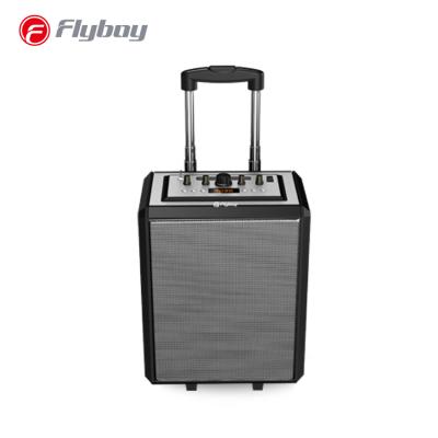 China L914 Wireless System Wireless Cart Speaker with LED Lights 2 Wireless Mic, Remote Control, FM Radio and Aux in/USB. for sale