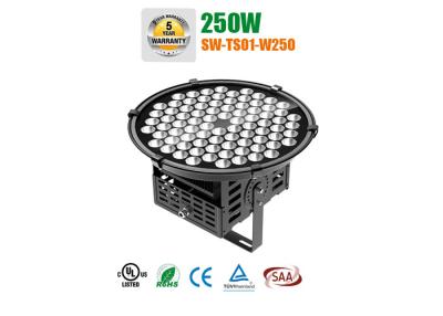 China 250w exterior spot light fixture for tennis court , outside led spotlights for sale