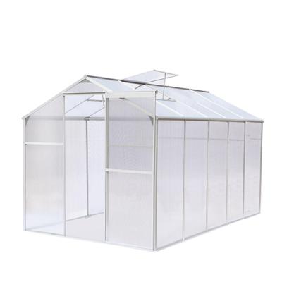 China Easily Assembled Aluminum Greenhouse ST-SH-2 0806 for sale