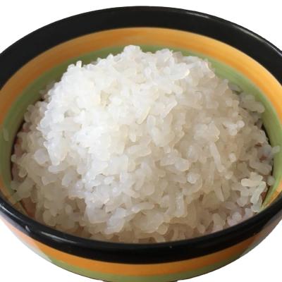 China Konjak rice konjak reis shirataki instant rice zero gluten free low calorie konjac rice for sale