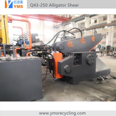 China Hot Sale Metal Alligator Metal Shear Machine for Aluminum, Copper, Steel, Iron for sale