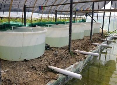 China 3500 liter  No Collapsible aquaculture Circle indoor commercial PE raised plastic fish ponds for sale