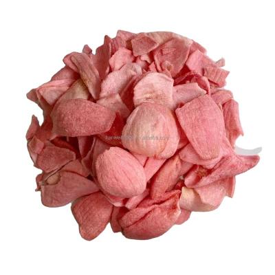 China VF Natural Fresh Vegetable Onion Chips Vacuum Fried Onion Slices Snack Snacks For OEM/ODM Wholesale for sale