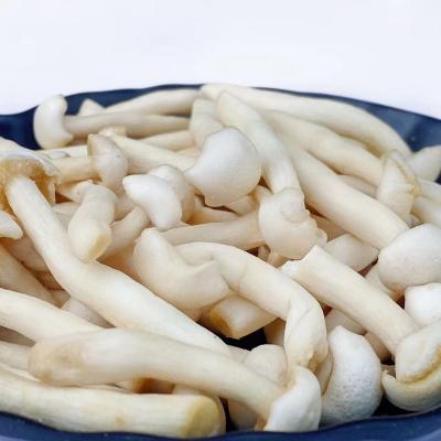 China Nutritious Hot Selling Shimeji Mushroom Fresh Fried Vetables Healthy Snacks for sale