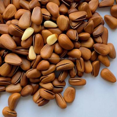 China Nutritious Organic Pine Nuts Cheap Price Roasted Dried Open Shell Nut Snacks Pine Nut for sale