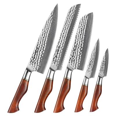 China 5PCS Disposable 73 Layers Damascus Steel Kitchen Knife Powder Set High End Damascus Knife for sale