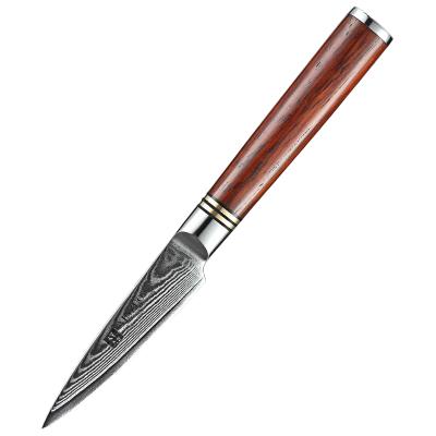 China Viable Professional Japanese Classic 3 Inch Rosewood Handle Damascus Steel Kitchen Paring Knife for sale