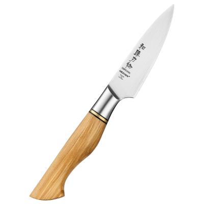 China Sustainable Sandvik 14C28N Stainless Carbon Steel Paring Kitchen Knife With Nature Olive Wood Handle for sale