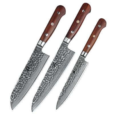 China Viable Professional Japanese 3PC Damascus Kitchen Knife Set for sale