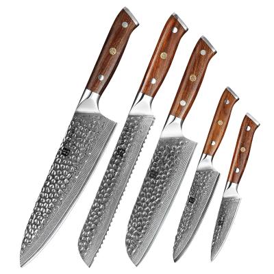 China Sustainable 5 PC Professional Kitchen Damascus Steel Knife Set for sale