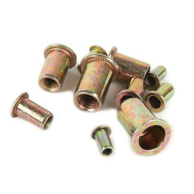 China General Industry M3 M4 M5 M6 M8 M10 M12 Steel Galvanized Flat Head Body Cavity Plain Round Rivet Nuts for sale