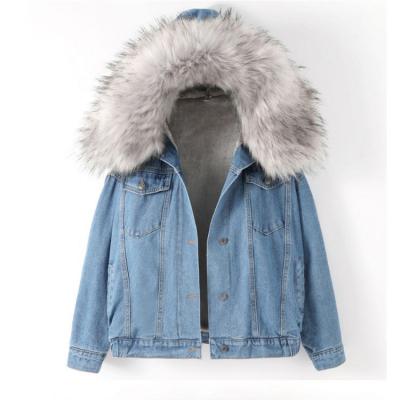 China Factory new fashion wholesale breathable lattice women hooded coat with fur collar denim jacket. for sale