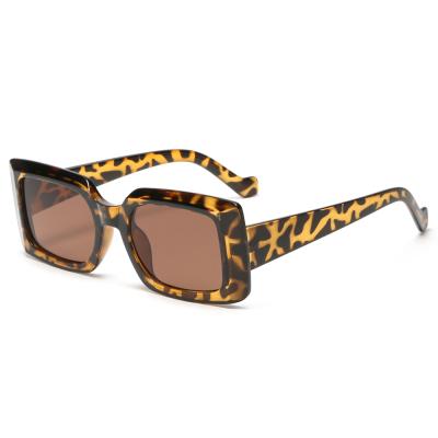 China Fashion Sunglasses Shape Retro Small Square Sunglasses Leopard Sunglasses 2021 Women for sale