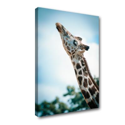 China Dropship Modern Custom Photo Print on Canvas, African Animal Giraffe Poster Canvas Prints for Bedroom Decor for sale